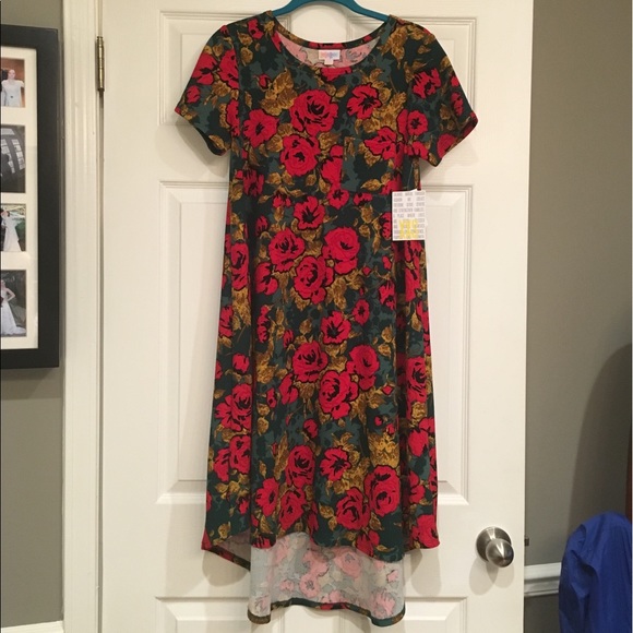 LulaRoe Carly Dress - Picture 1 of 4
